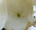 ZZ_ZZ444_D5978_Z_82_Home Wendy Eiby_Australie